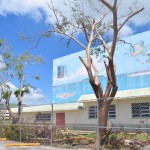 Fallen trees are scattered near the fence of the Oleai Sports Complex after Typhoon Soudelor hit Saipan last month. (Roselyn B. Monroyo)