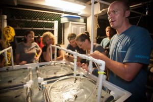 Dr. Dirk Petersen (right), founder of SECORE, trains colleagues in coral larval husbandry at the University of Guam Marine Lab during a nighttime spawning event in 2013. (Contributed Photo)