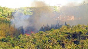 The huge brushfire at Wireless Ridge on Capital Hill continues to rage on its second day yesterday, destroying 80 acres of vegetation. (Ferdie de la Torre)