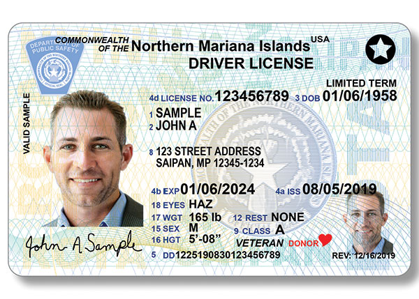 dps audit number on drivers license