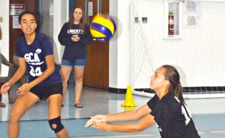volleyball