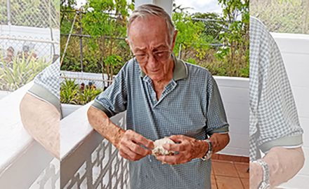 bio repository