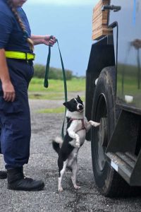 Emily Selberg and K-9, Toby