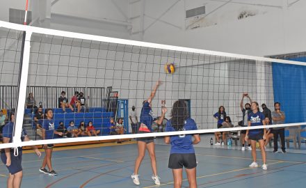 nmiva