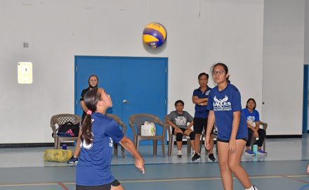 nmiva