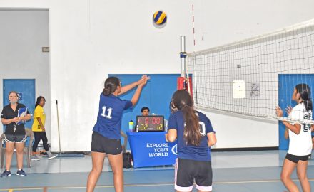 nmiva