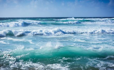 high surf
