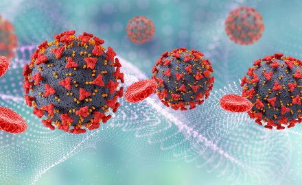 coronavirus