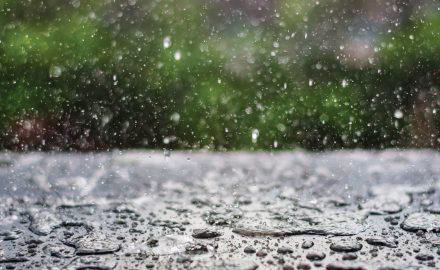 Rainfall
