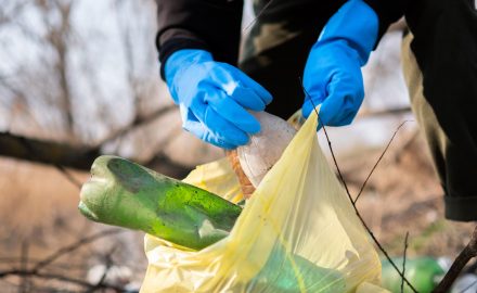 Cleanup