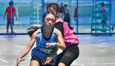 NMIBF