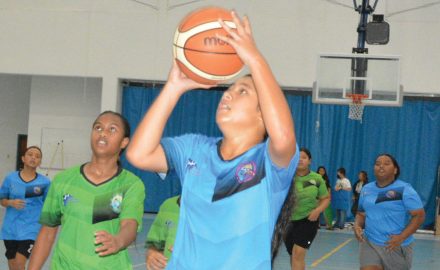 NMIBF