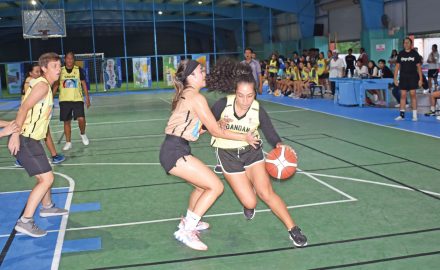 NMIBF