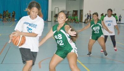 NMIBF