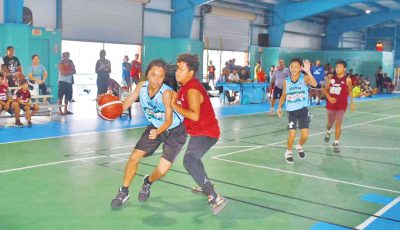 NMIBF