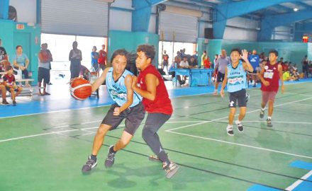 NMIBF