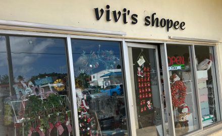 ViVi's
