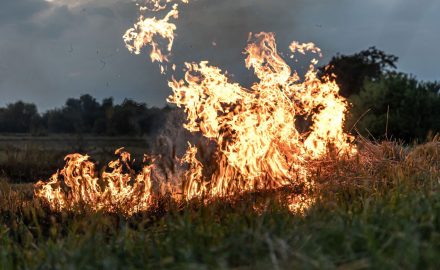 Grass fire