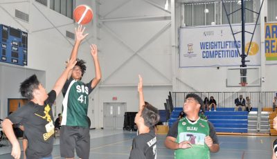 NMIBF