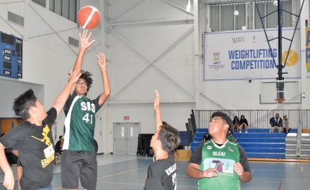 NMIBF
