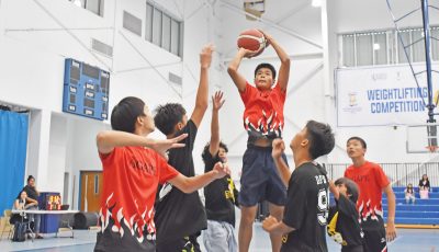 NMIBF