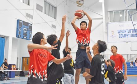 NMIBF
