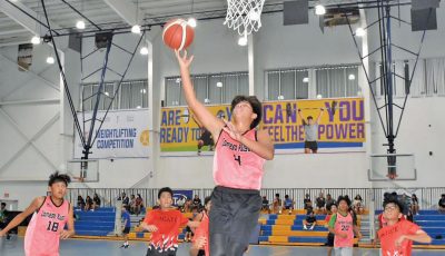 NMIBF
