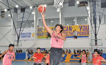 NMIBF