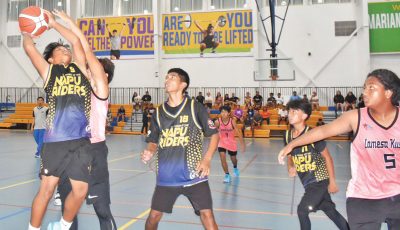 NMIBF