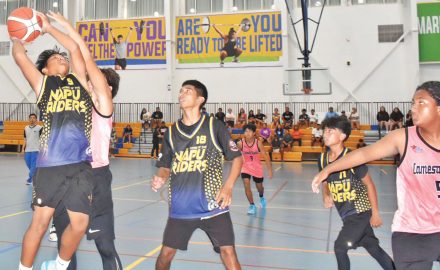 NMIBF