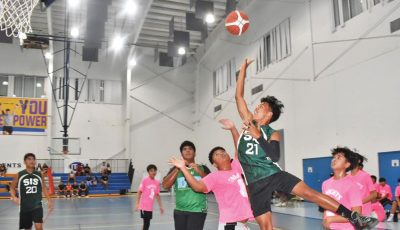NMIBF