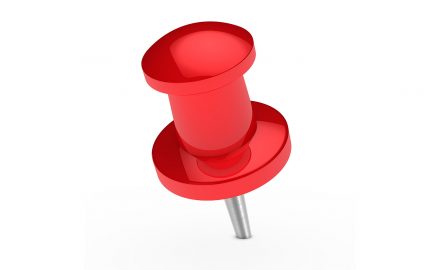 pin